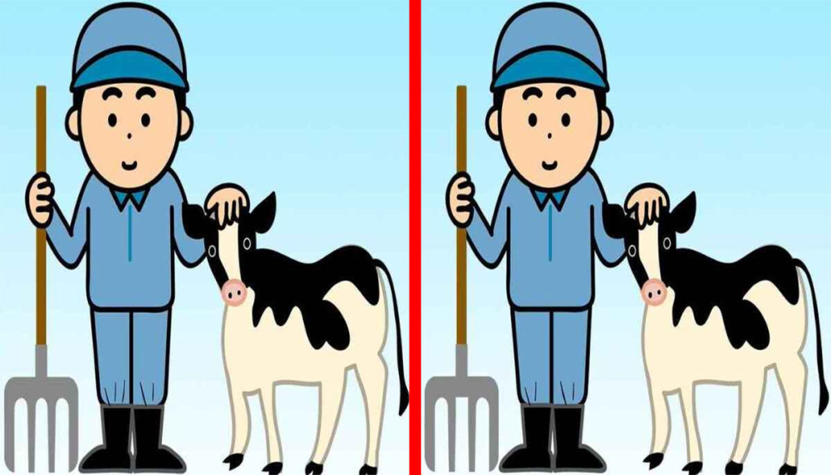 Test de logică | Identificați 3 diferențe între fermierii din cele două imagini!