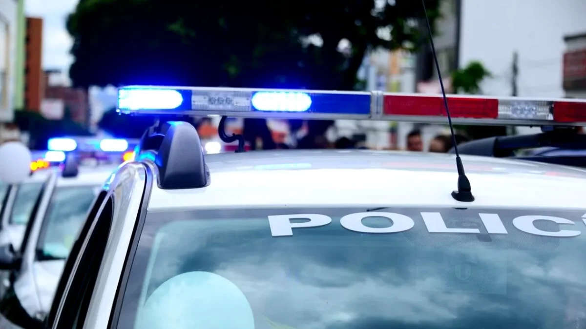Crima care a zguduit Italia. Ce au găsit polițiștii în casa unei profesoare: „Veniţi, fiul meu a rănit pe cineva”