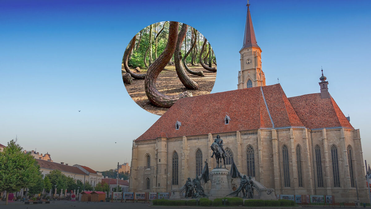 Ai ajuns în Cluj și vrei ceva mai tare decât centrul vechi? Intră în Hoia-Baciu, pădurea cu cele mai nebune legende din România