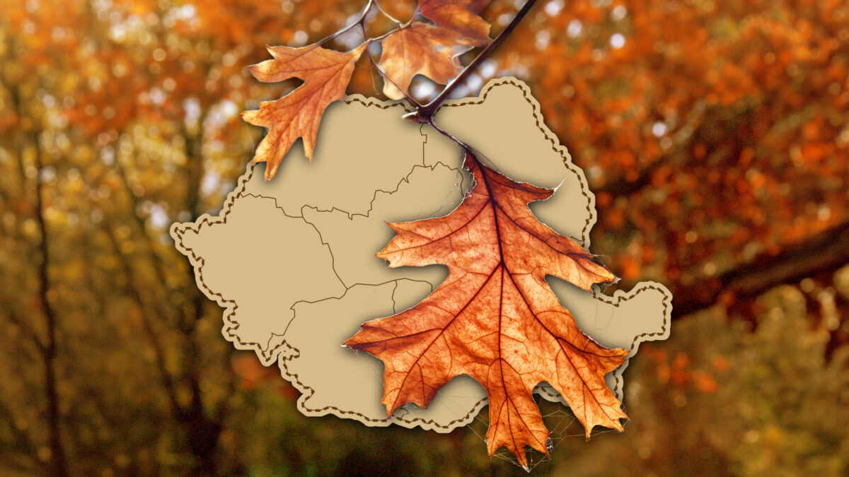 Prognoza meteo azi, 4 septembrie 2026. Toamna mai așteaptă! Sudul țării intră într-un nou episod de vreme fierbinte, cu temperaturi de vacanță