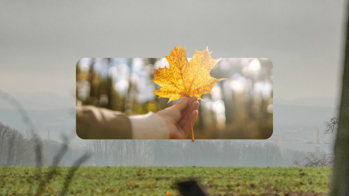 Prognoza meteo azi, 28 septembrie 2026. Toamna își arată colții în România! Unde scad temperaturile la 3 grade și ce regiuni mai prind 26 de grade