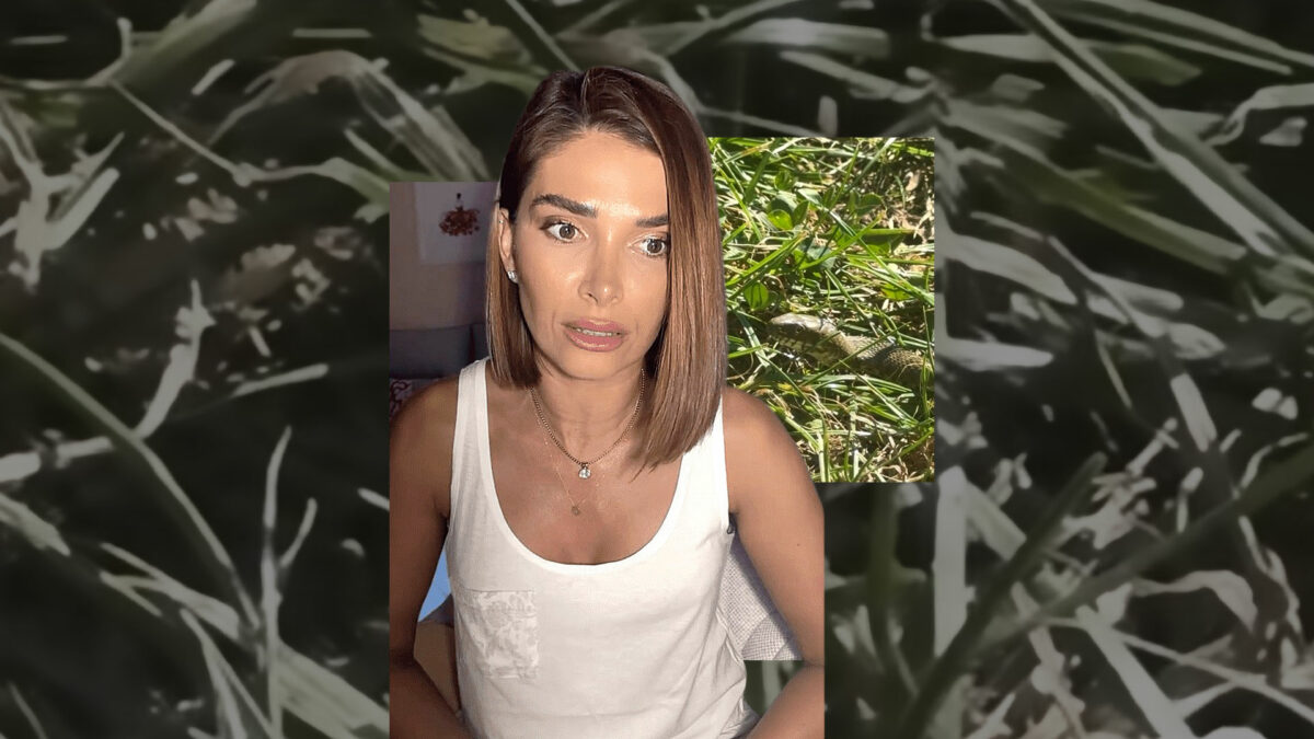Ce pericol a descoperit Alina Pușcaș în curtea ei Prezentatoarea de la Antena 1 a tras o sperietură soră cu moartea!