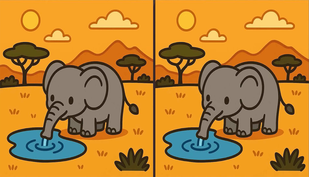Test de inteligență | Acești doi elefanți par identici, dar nu sunt. Descoperiți cele 3 diferențe!